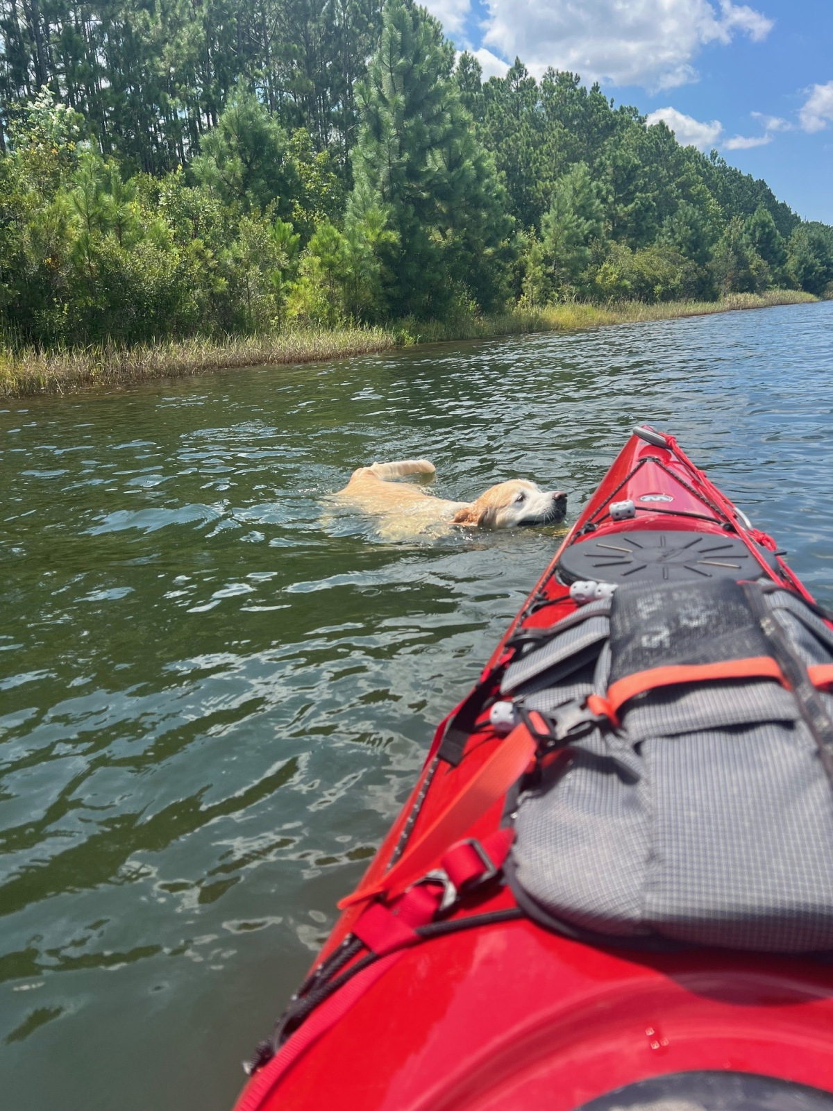 Family Paddle on Smith Creek Lake