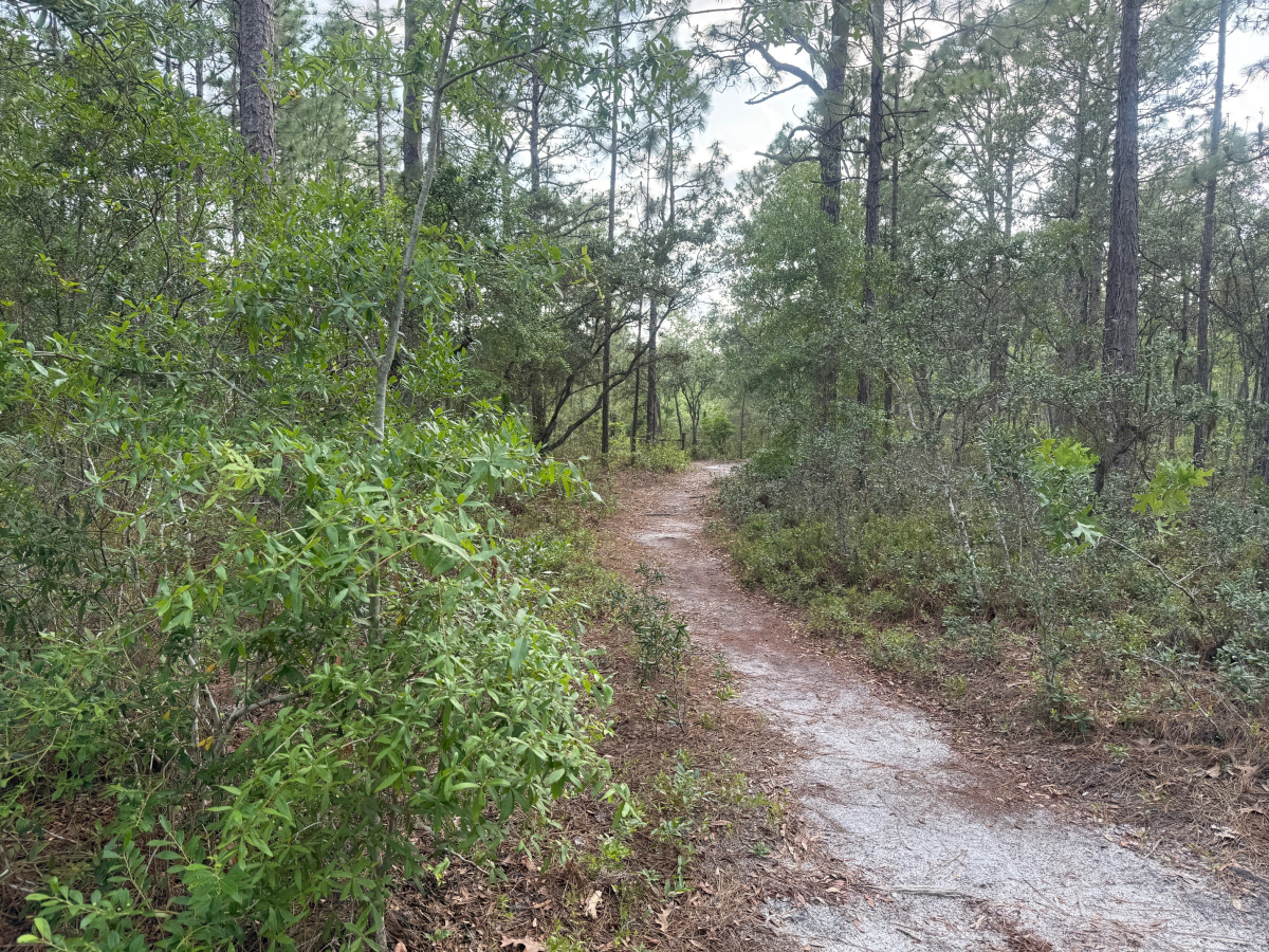 Halyburton Park Hiking