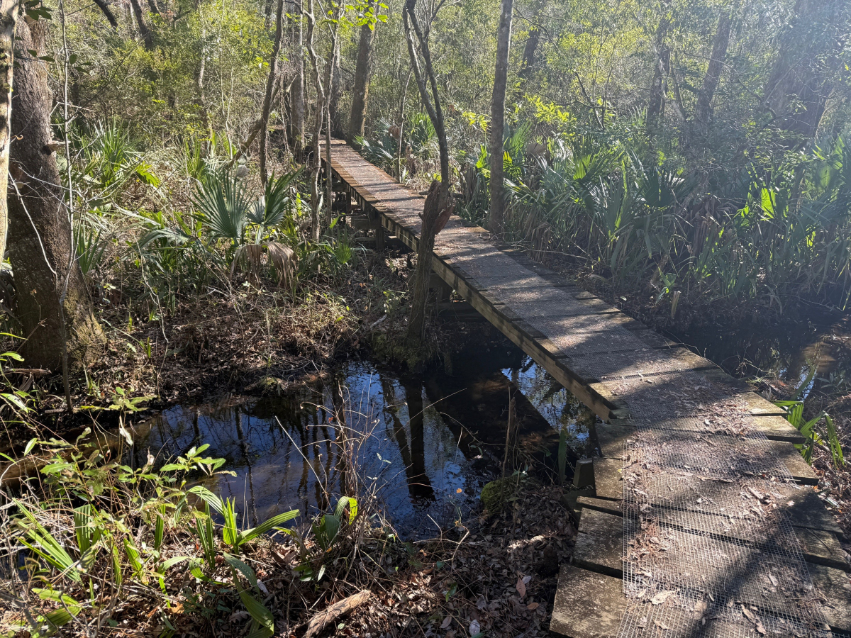 Neusiok Trail Exploratory Hike
