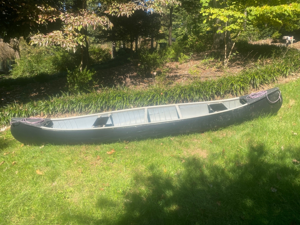 Perception canoe