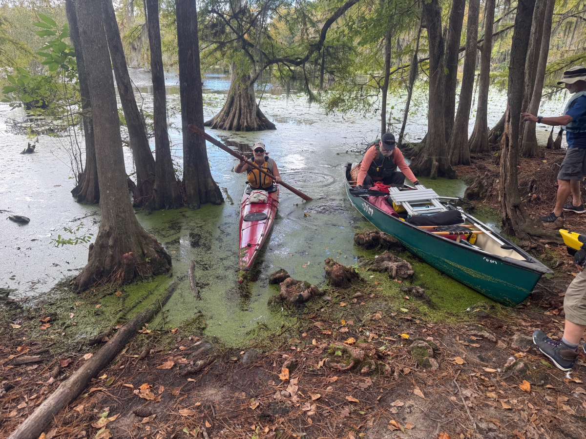 Merchants Millpond State Park Kayak Camp