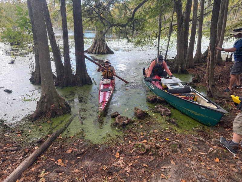 Merchants Millpond State Park Kayak Camp