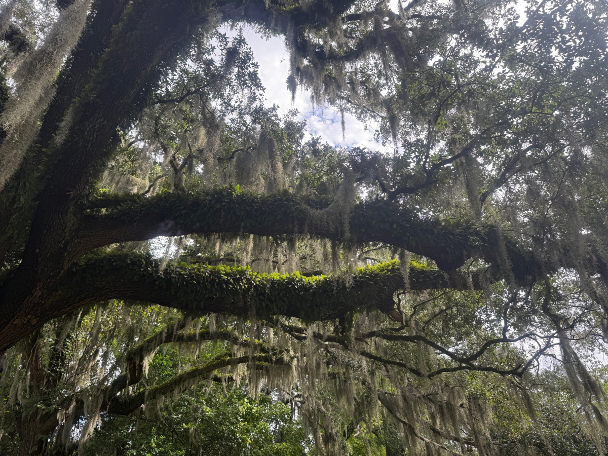 Old, Old Gravesites at Oakdale Cemetery, Wilmington, NC