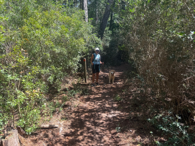 Carolina Beach State Park Hike and Beach