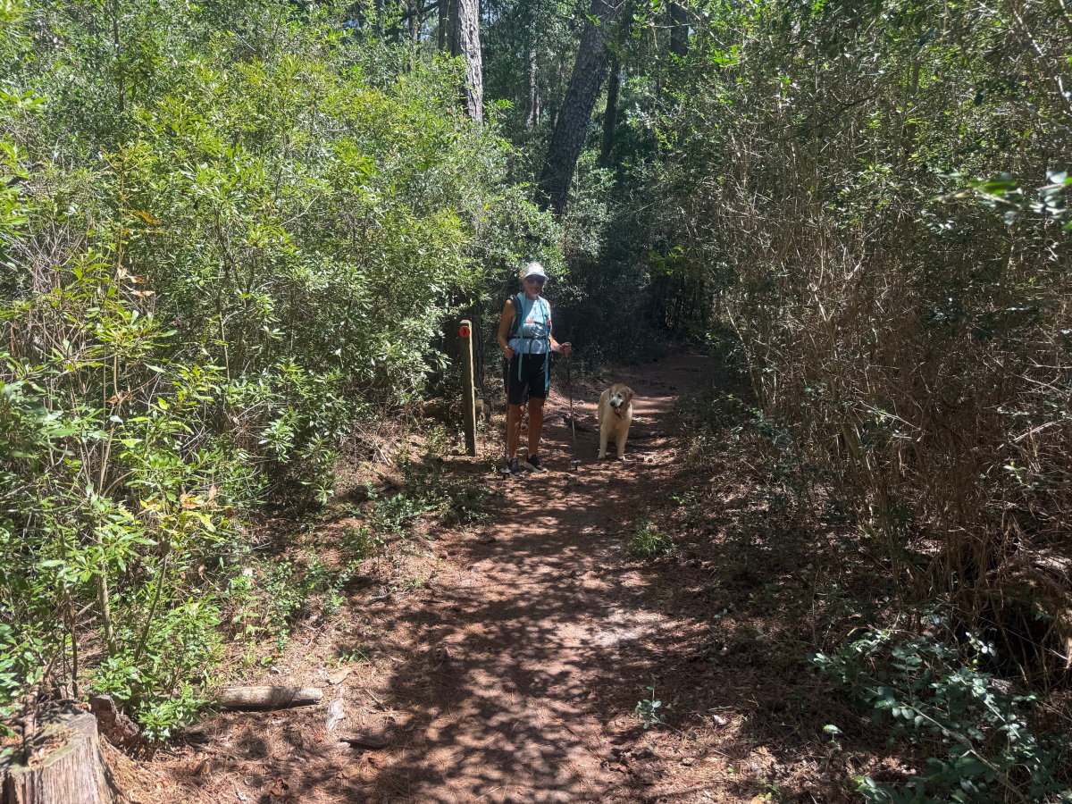 Carolina Beach State Park Hike and Beach