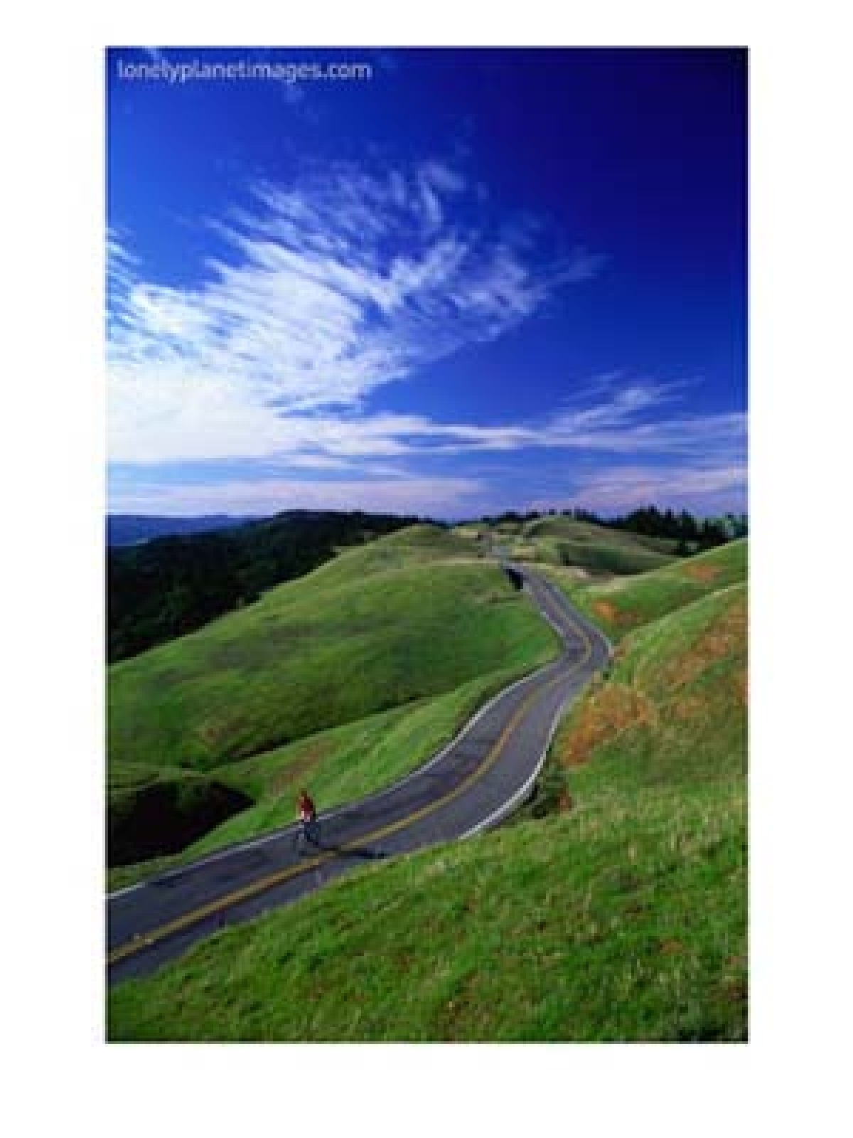 Lithia Springs Road