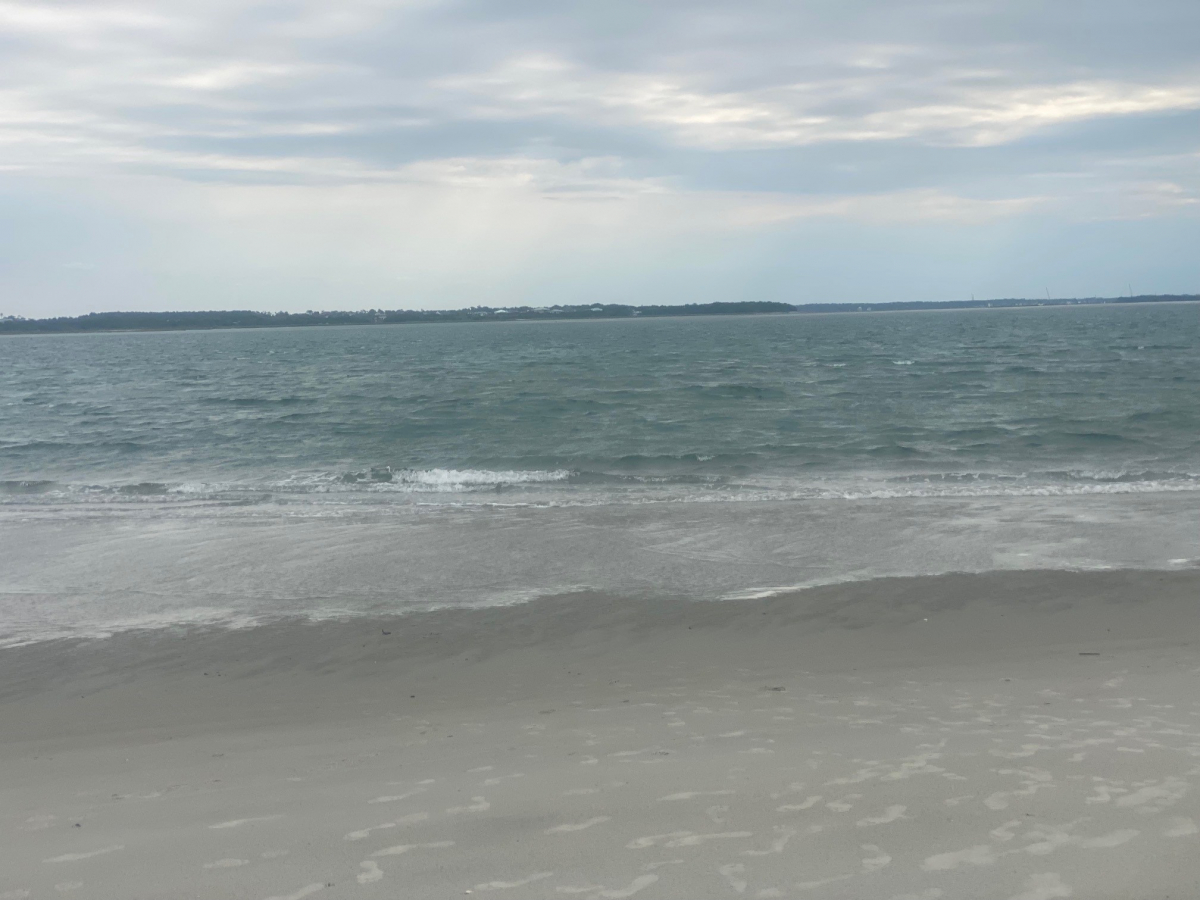 Sand Dollar Island