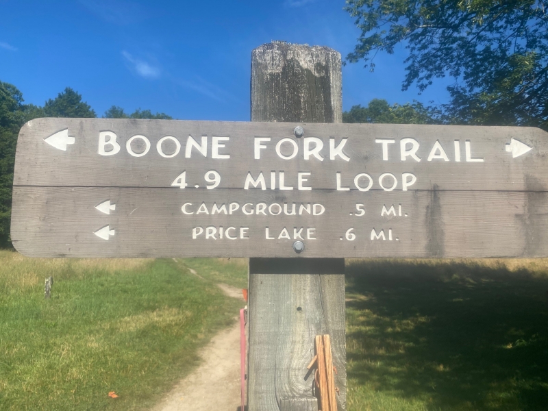 Boone Fork Trail in the Summer
