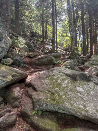 McRae Peak Realization