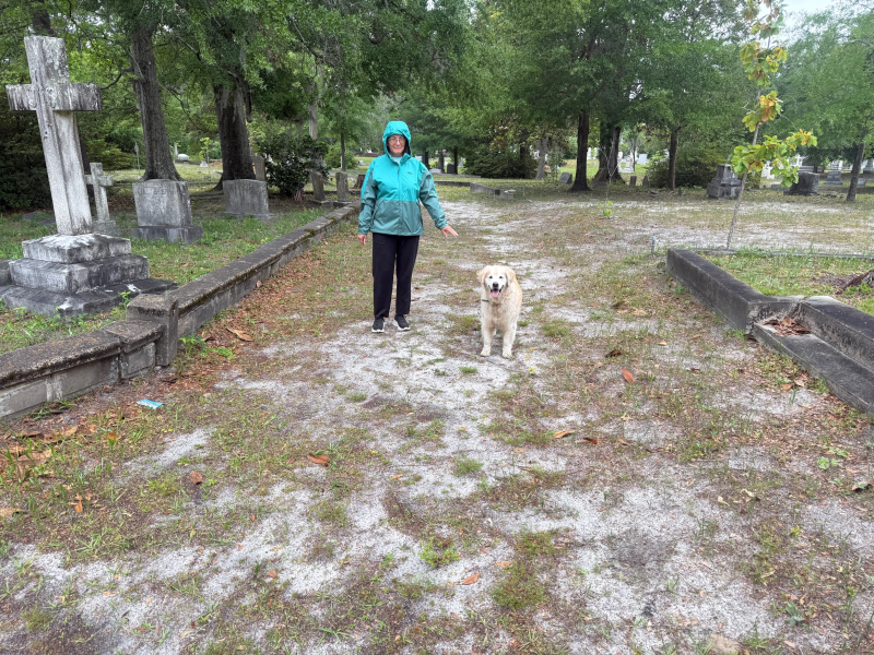 Grassy Paths and Sandy Lanes