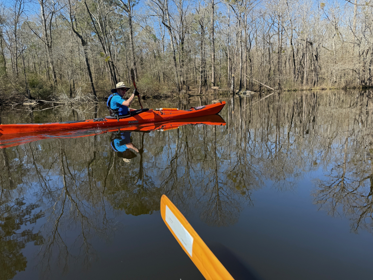 Trent River Paddle with Bill Webb