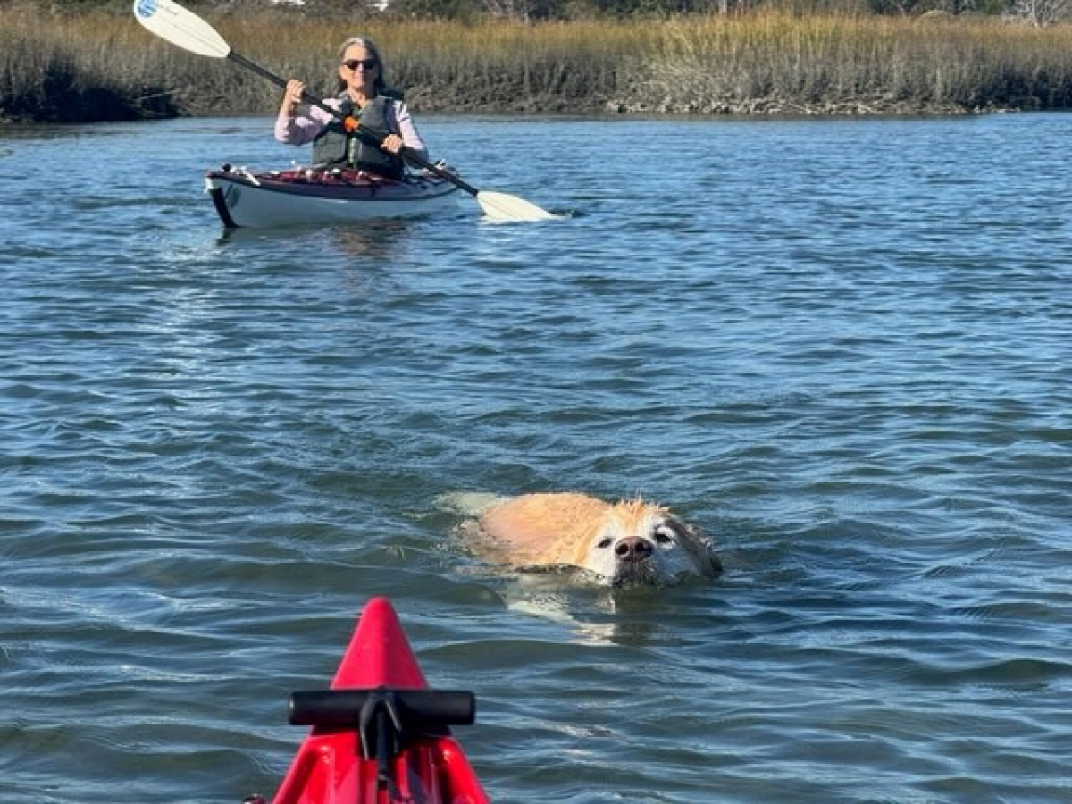 Paddling Lee’s Cut Estuaries and Channels