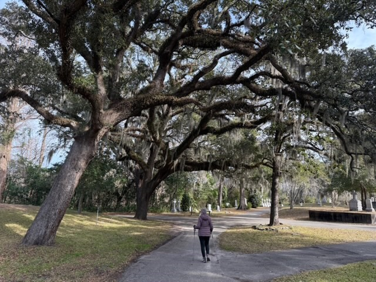A Bucolic Walk Through Time